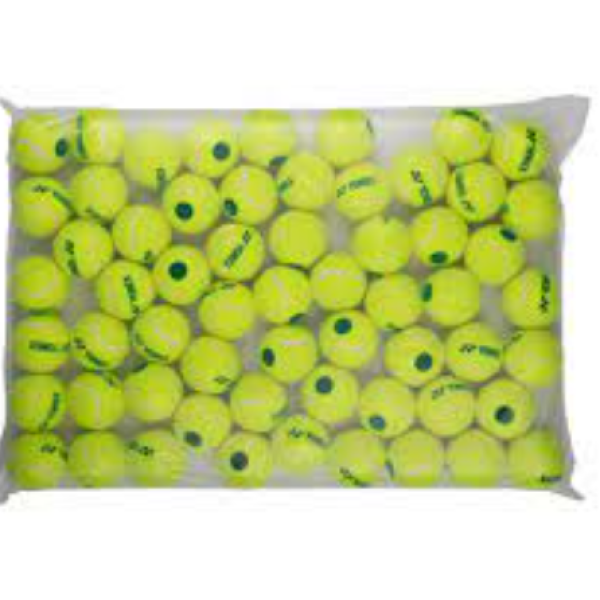 BOLSA PELOTAS YONEX STAGE 1 X60